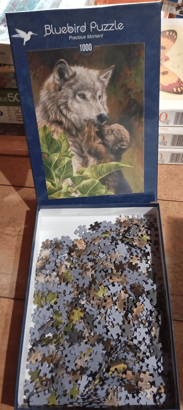 Puzzle Bluebird 1000 pièces loup