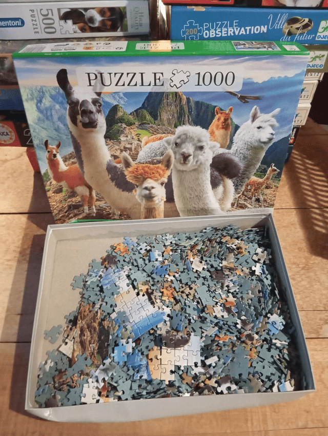 Puzzle 1000 pièces lama