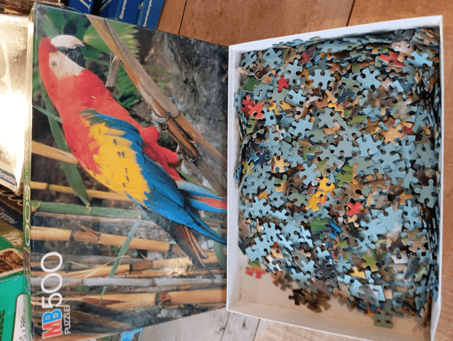 Puzzle MB 500 pièces perroquet