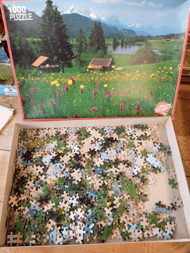 Puzzle favorit 1000 pièces fleurs de montagne 