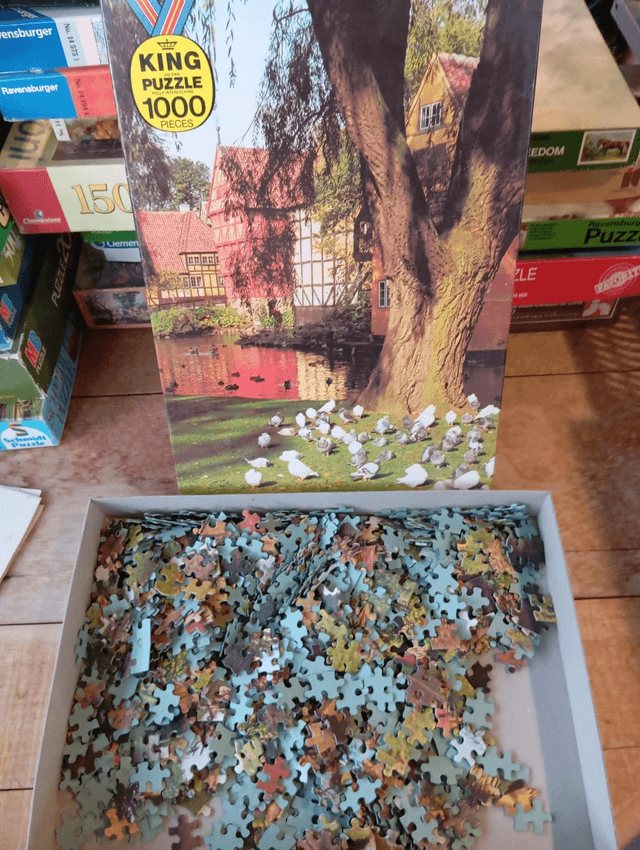 Puzzle king 1000 pièces étang et pigeon 