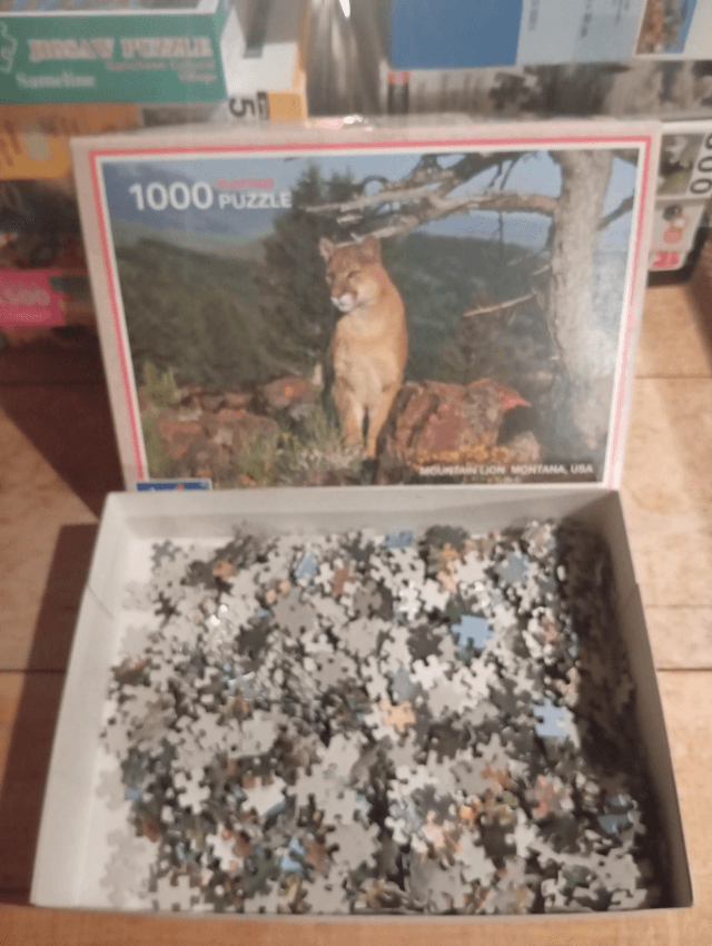 Puzzle play time 1000 pièces fauve