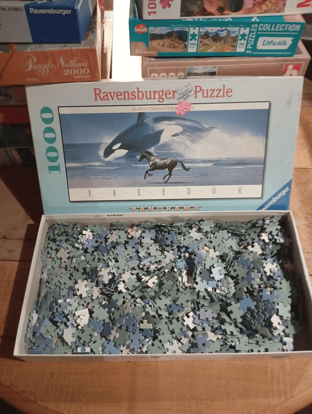 Puzzle ravensburger 1000 pièces panorama orque 