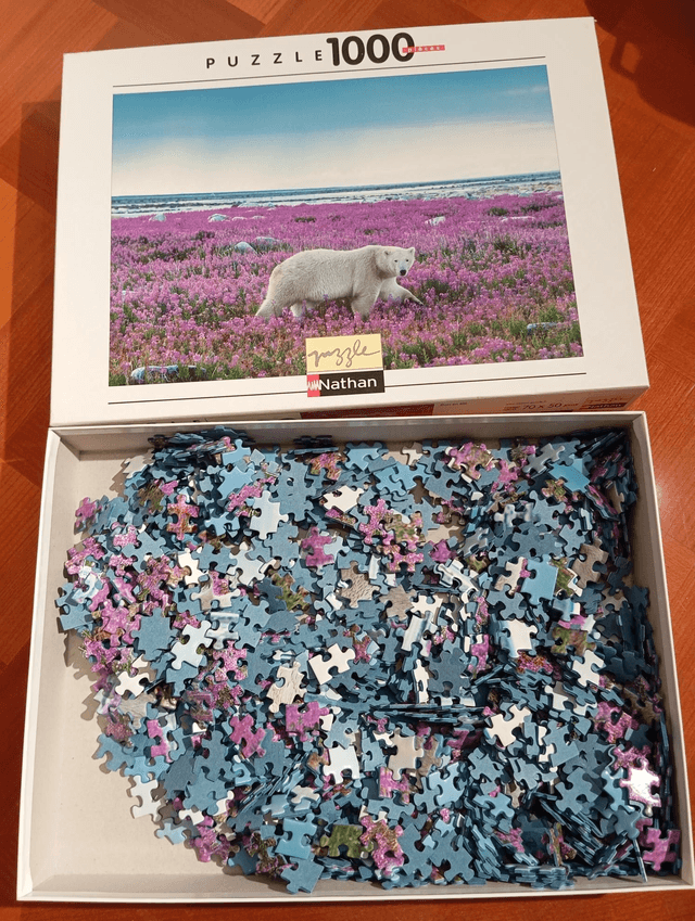 Puzzle Nathan 1000 pièces ours blanc