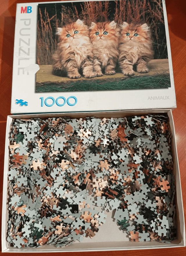 Puzzle MB chats 1000 pièces 