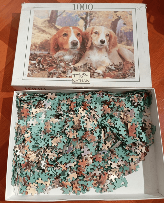 Puzzle Nathan 1000 pièces chiens