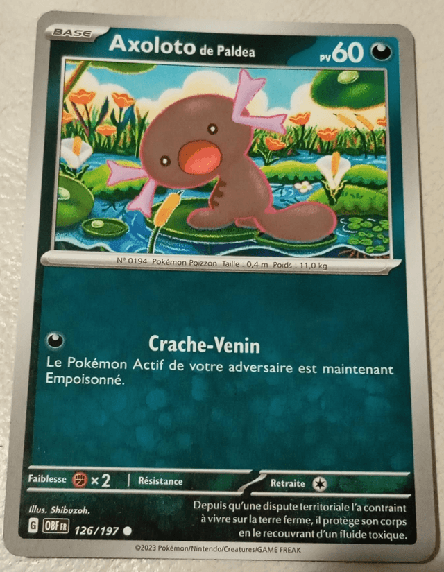 Carte pokémon Axoloto