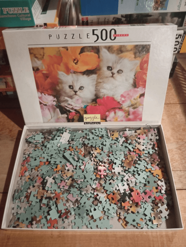 Puzzle Nathan 500 pièces chatons blancs 
