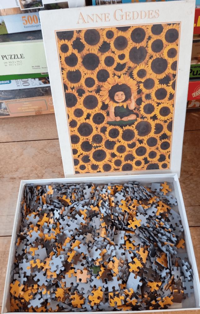 Puzzle 900 pièces Anne Geddes tournesol 