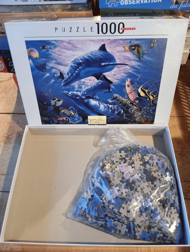 Puzzle Nathan dauphin 1000 pièces 