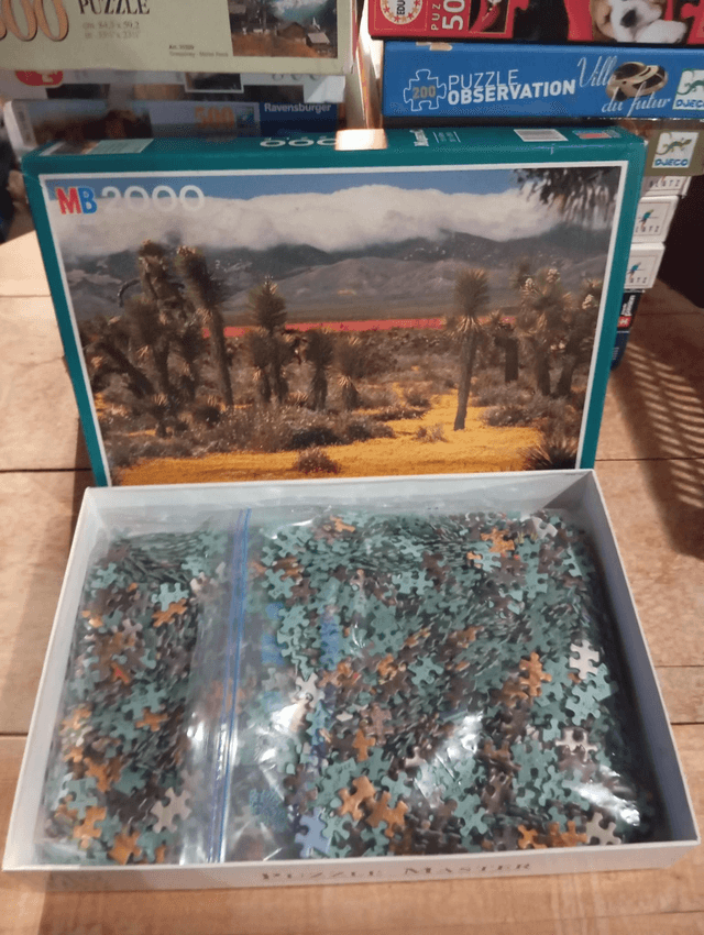 Puzzle MB 2000 pièces paysage