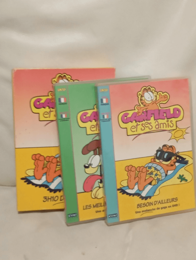 Coffret 2 DVD Garfield et ses amis