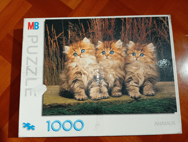 Puzzle MB chats 1000 pièces 