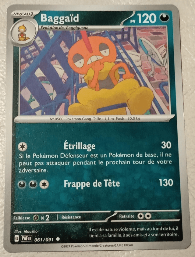 Carte pokémon Baggaïd