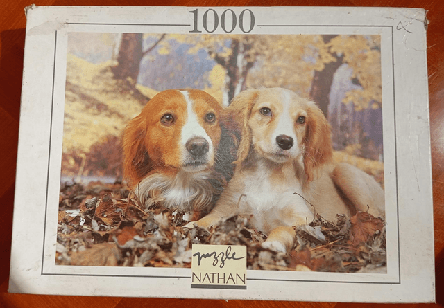 Puzzle Nathan 1000 pièces chiens