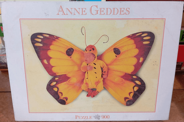 Puzzle 900 pièces Anne Geddes papillon 