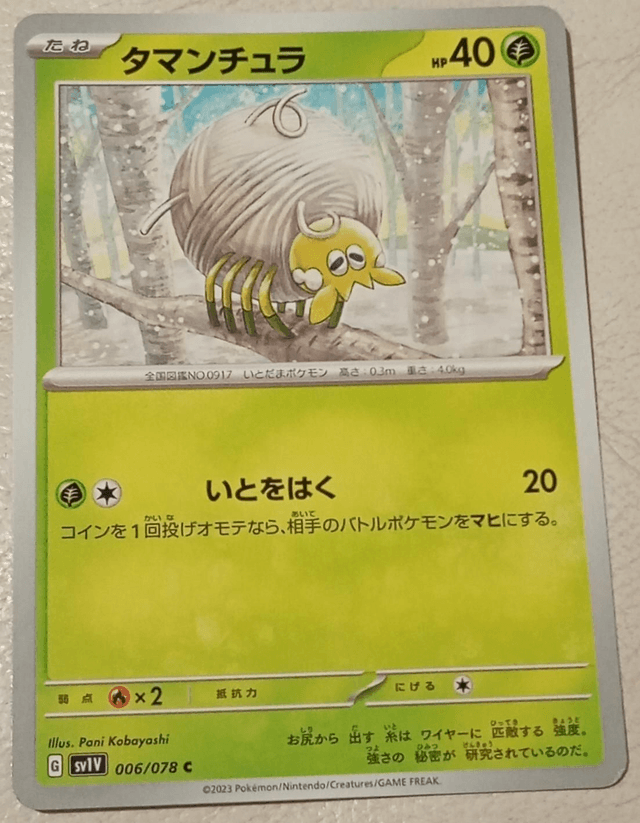 Carte pokémon japonaise 
