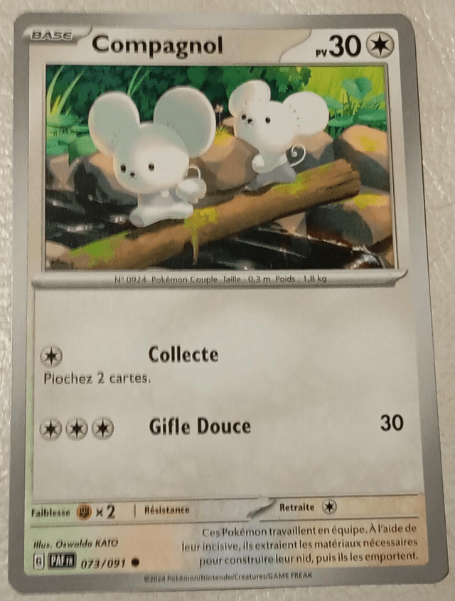 Carte pokémon Compagnol